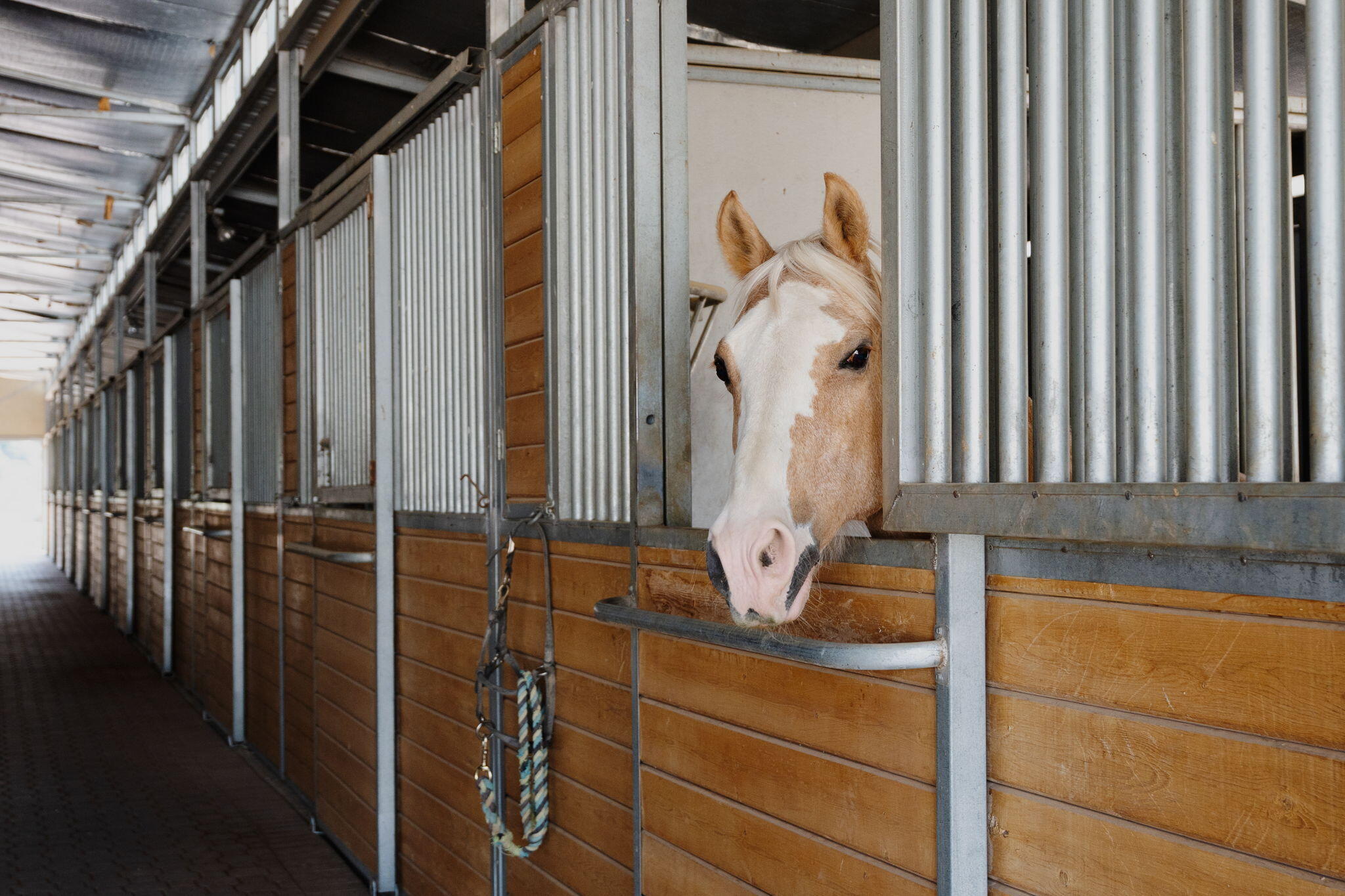 3150 Coyote Trail, Albuquerque, NM, 87123 3150 Coyote Trail, Albuquerque, NM, 87123