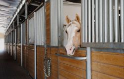 3150 Coyote Trail, Albuquerque, NM, 87123 3150 Coyote Trail, Albuquerque, NM, 87123