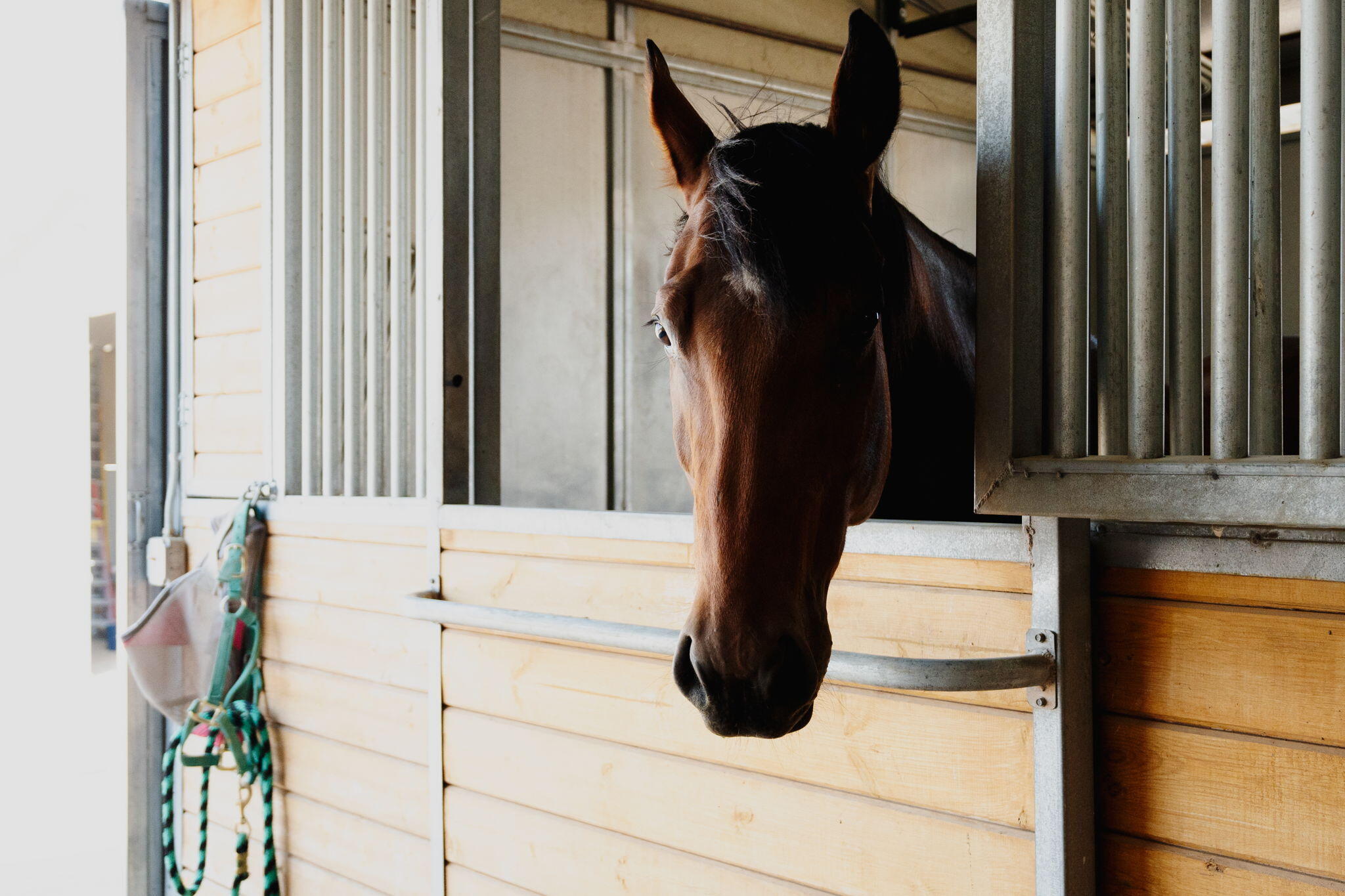 3150 Coyote Trail, Albuquerque, NM, 87123 3150 Coyote Trail, Albuquerque, NM, 87123