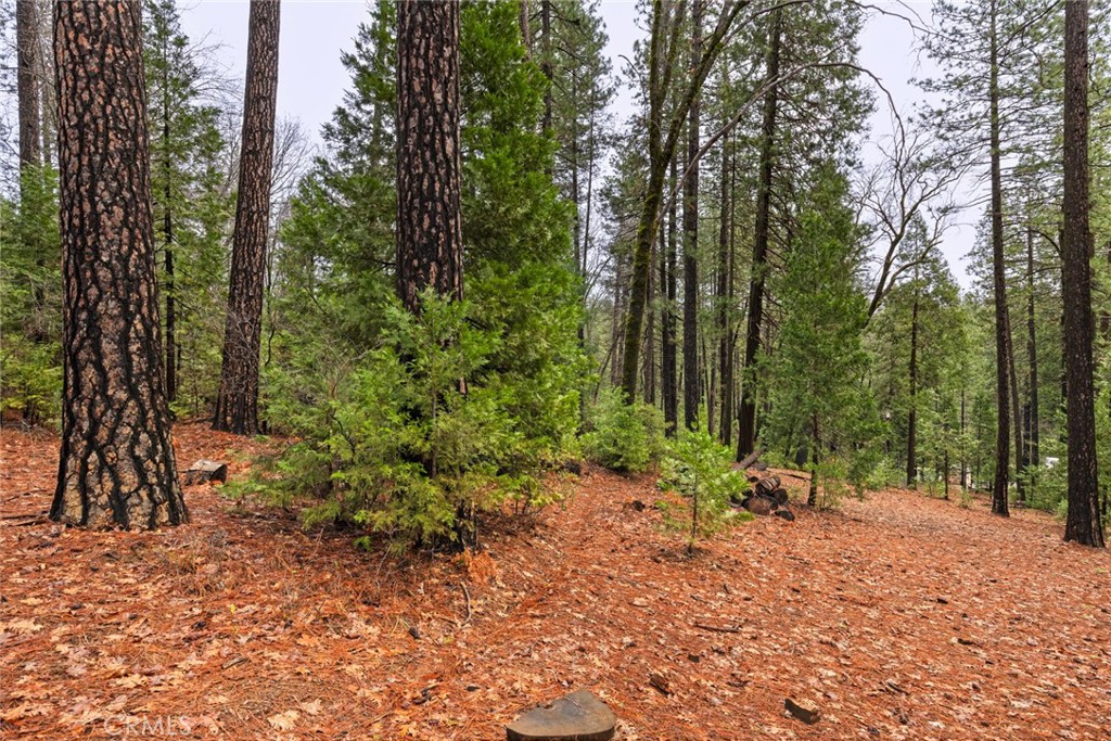 0 Christina Drive, Forest Ranch, CA, 95942 0 Christina Drive, Forest Ranch, CA, 95942