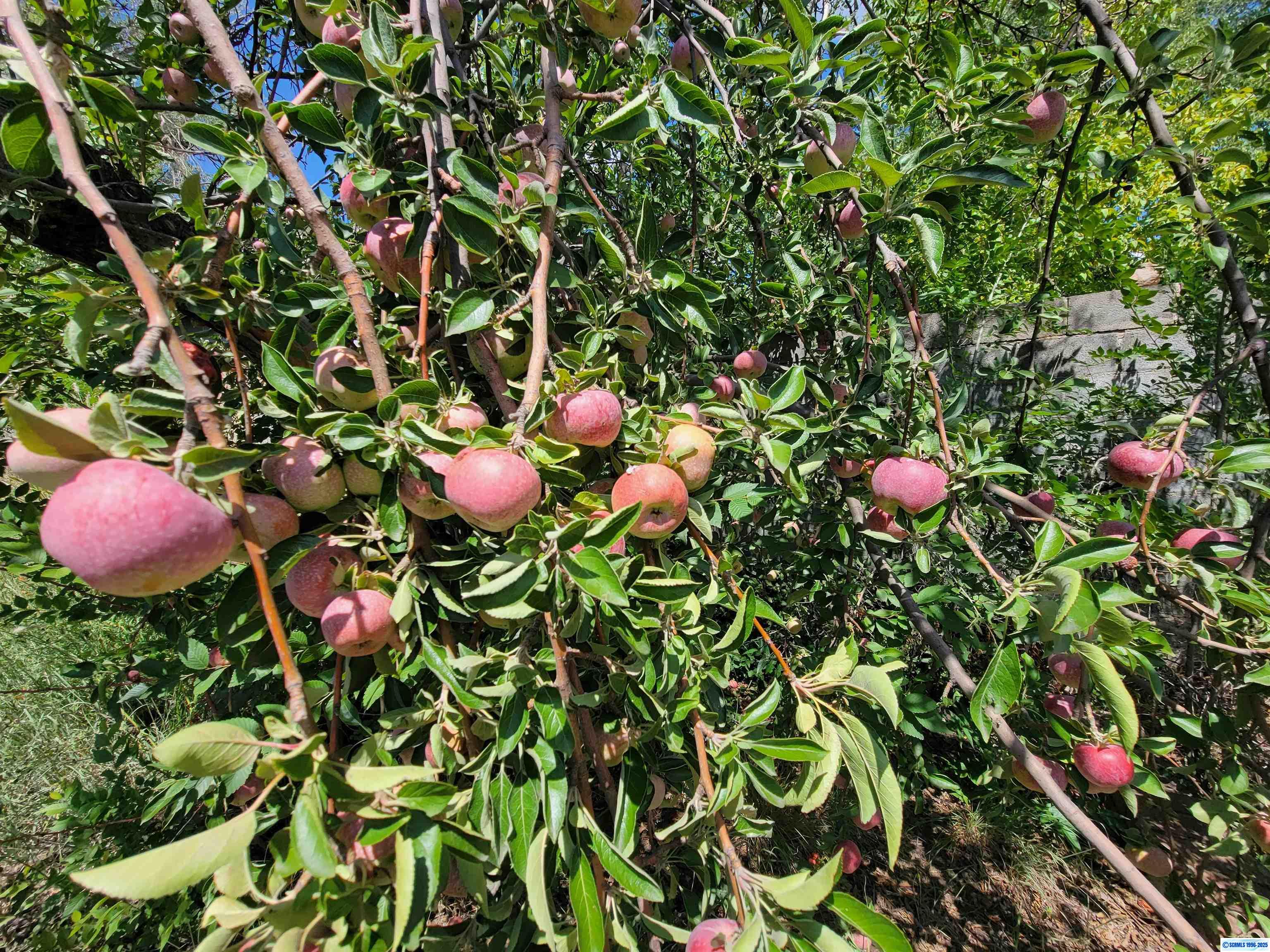 350 W 12th Street, Silver City, NM, 88061 350 W 12th Street, Silver City, NM, 88061