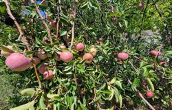 350 W 12th Street, Silver City, NM, 88061 350 W 12th Street, Silver City, NM, 88061