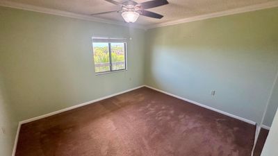 Search Properties