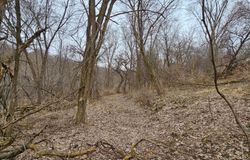 8492 Glory Road, Yucatan Twp, MN, 55943