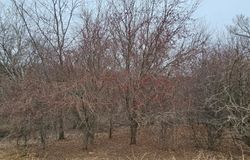 8492 Glory Road, Yucatan Twp, MN, 55943