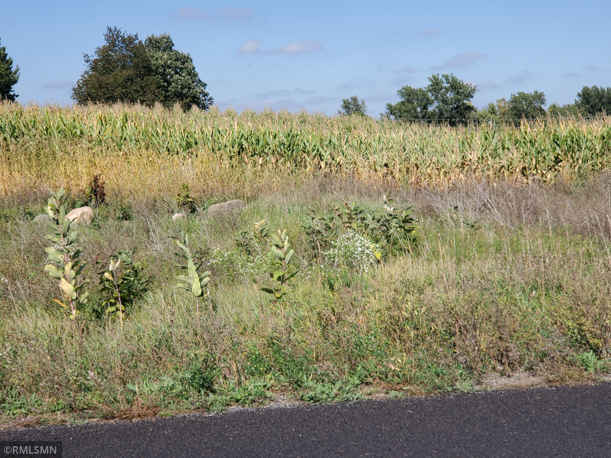 1141 178th St./Dalton Farm Road, Lot 19, Hammond, WI, 54015