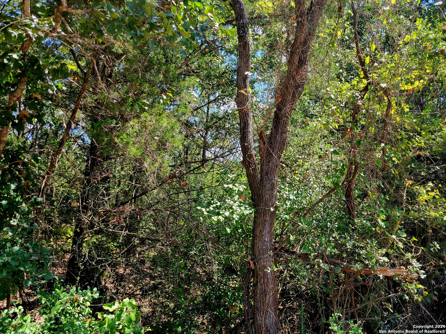 TBD Dale Ln, Dale, TX, 78616