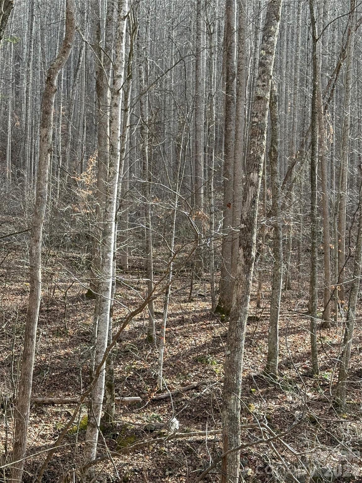 00000 Martins Creek Road, Barnardsville, NC, 28709 00000 Martins Creek Road, Barnardsville, NC, 28709