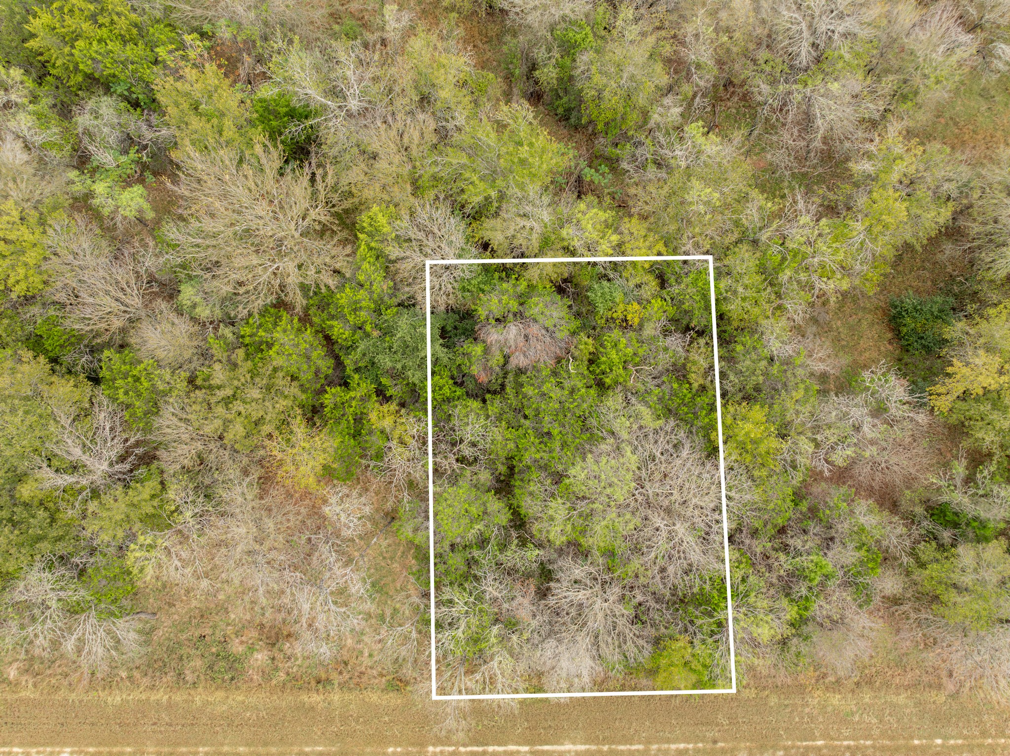 39166 Rock Ridge Drive, Whitney, TX, 76692