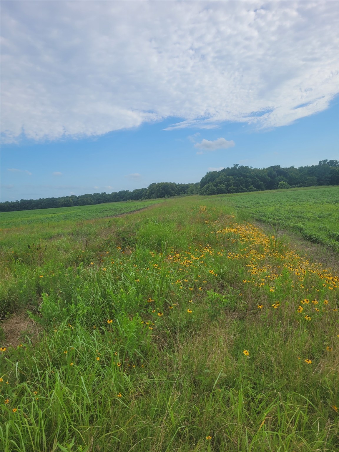 TBD S U. S. HIGHWAY 271 Highway, Deport, TX, 75435