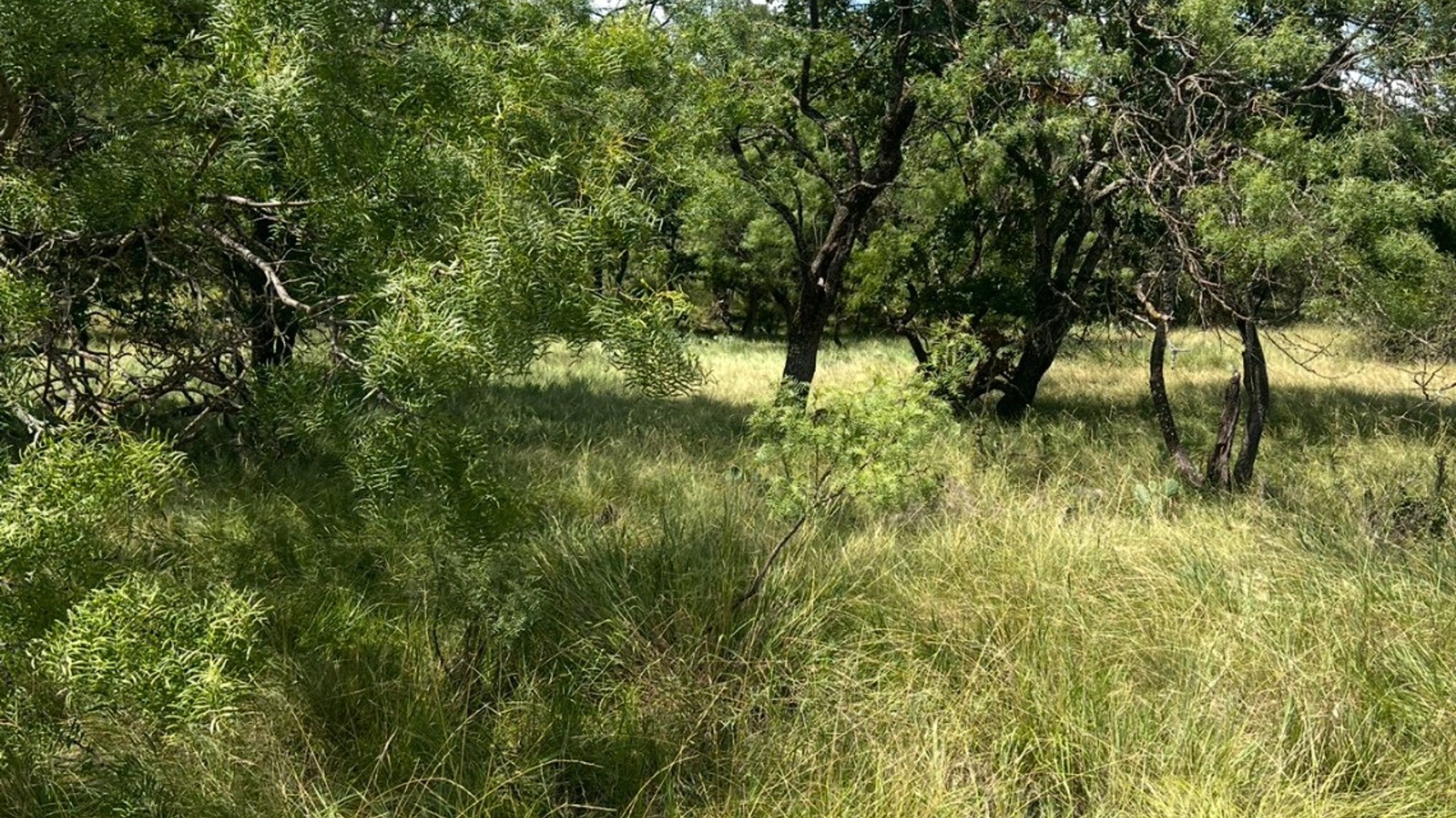 Lot 591 S Lakeside Drive, May, TX, 76857