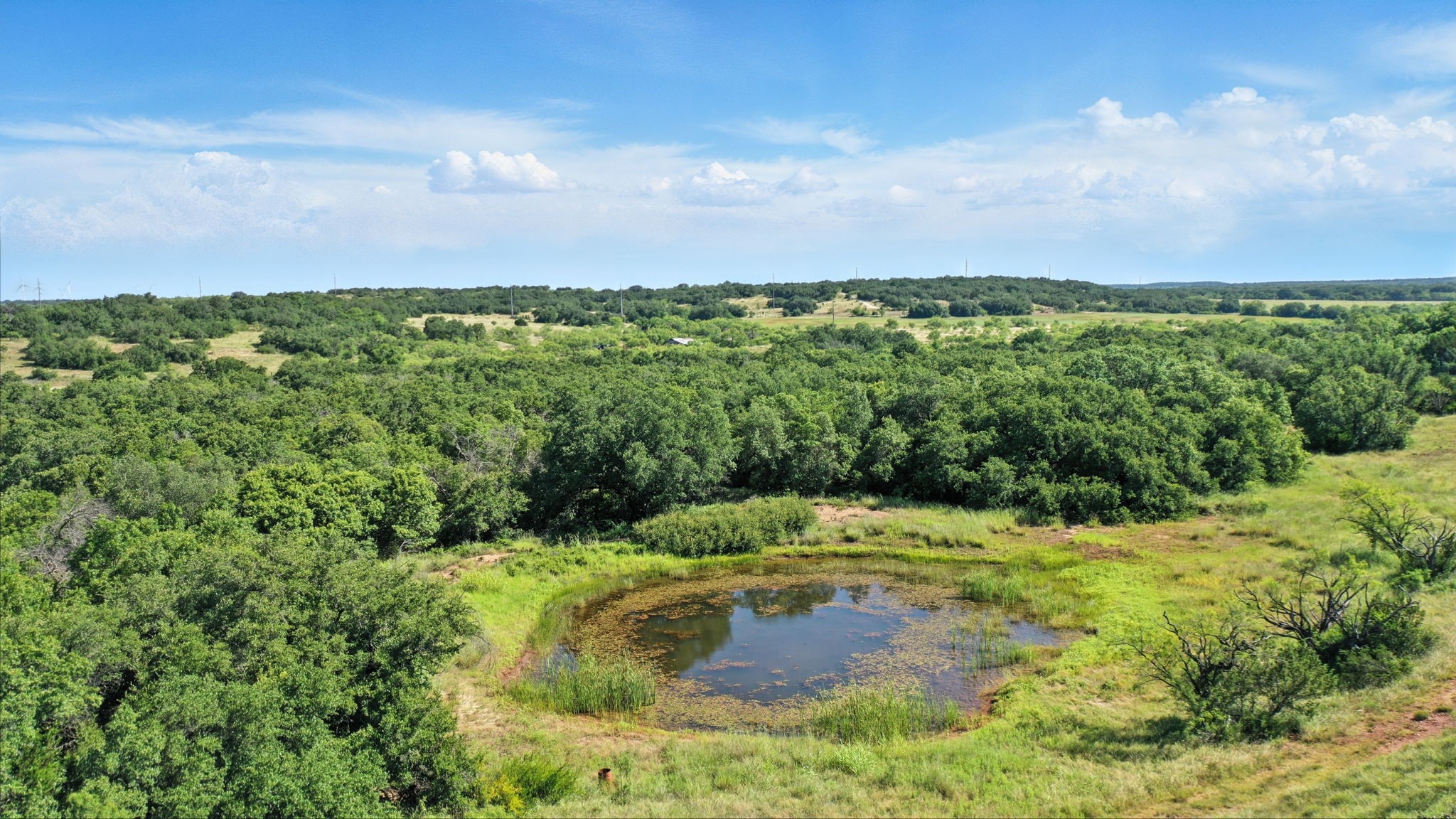 112.46 Acres FM 2945 Cisco, TX 76437 - Your Texas Land Experts