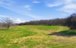 2375 FM 935, Chilton, TX, 76632