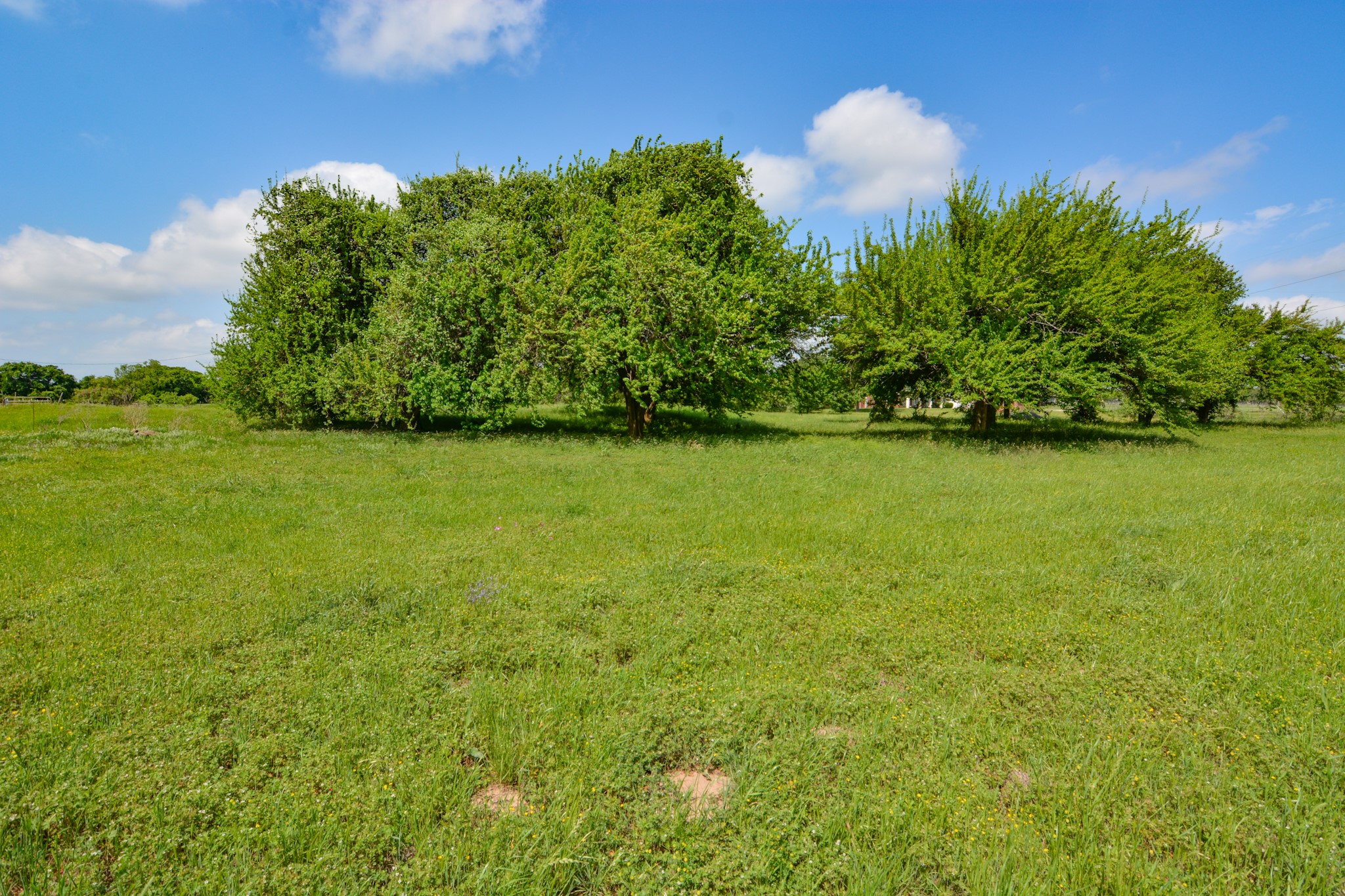 TBD Contrary Creek Road, Granbury, TX, 76048