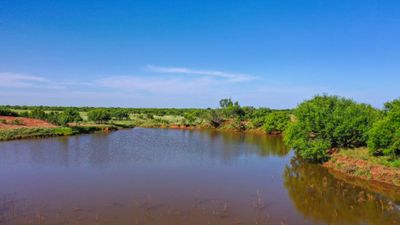 Cattle Ranch
