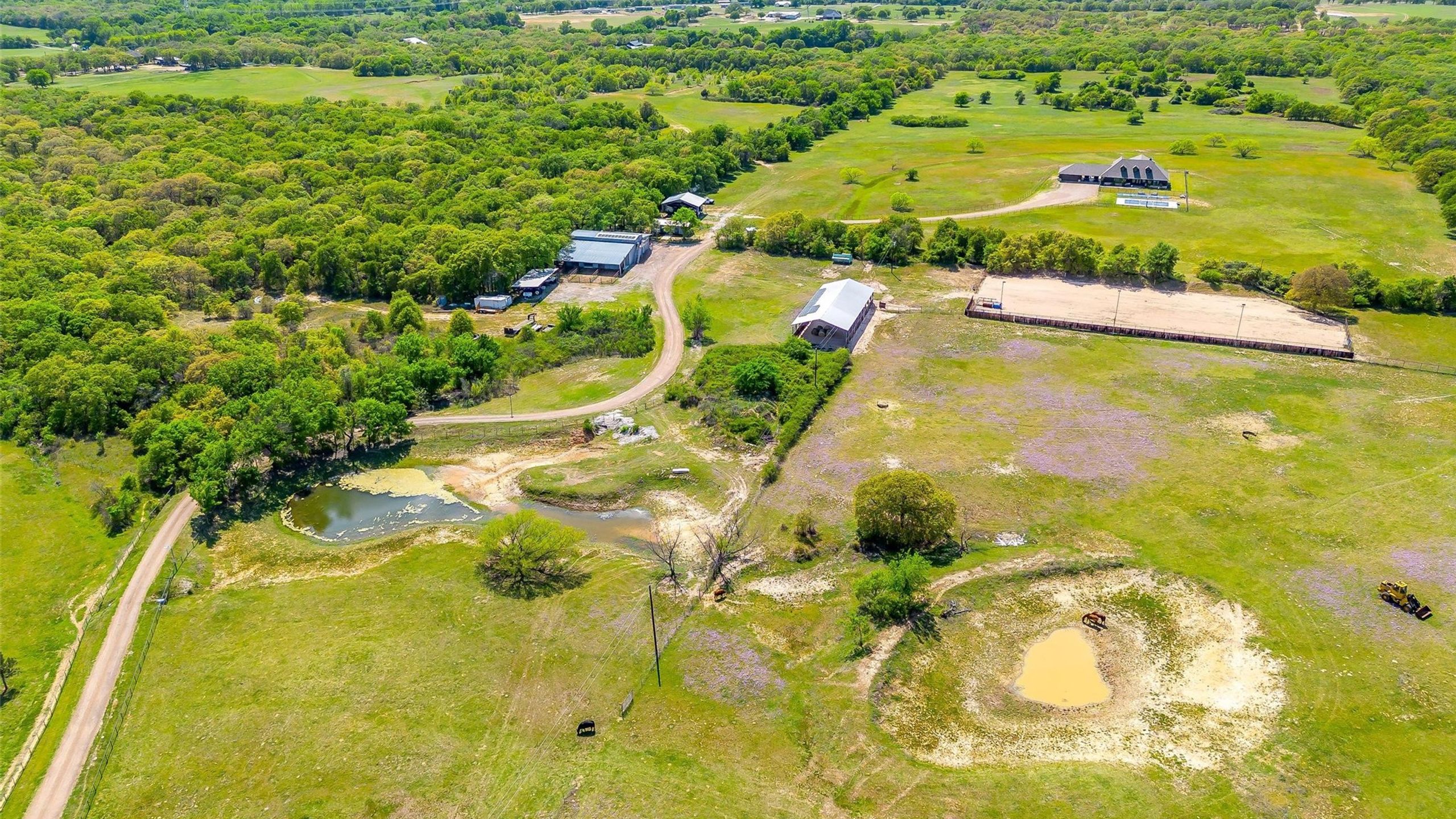 Springtown