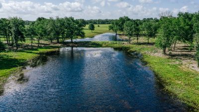 Cattle Ranch