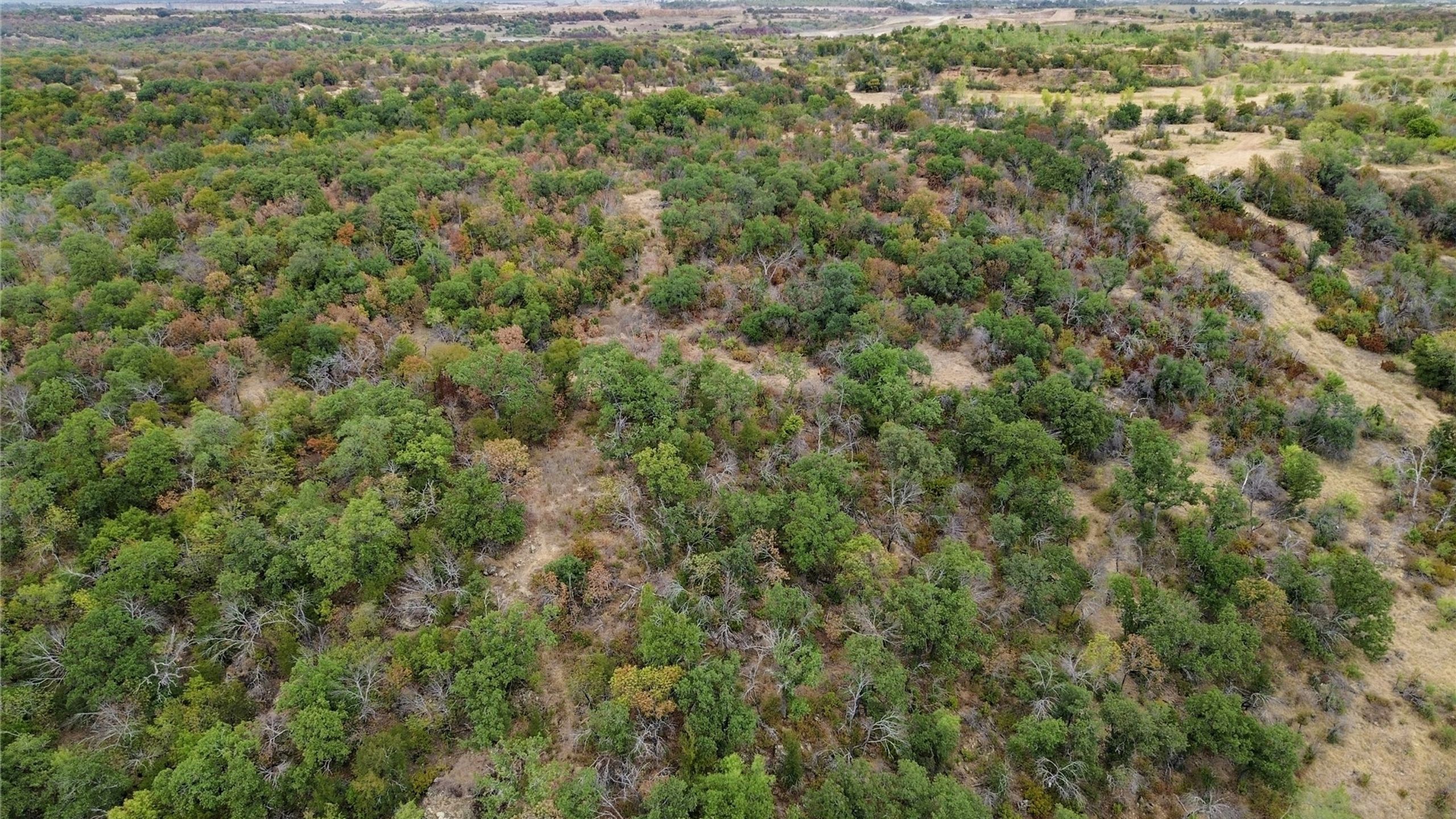 Bridgeport