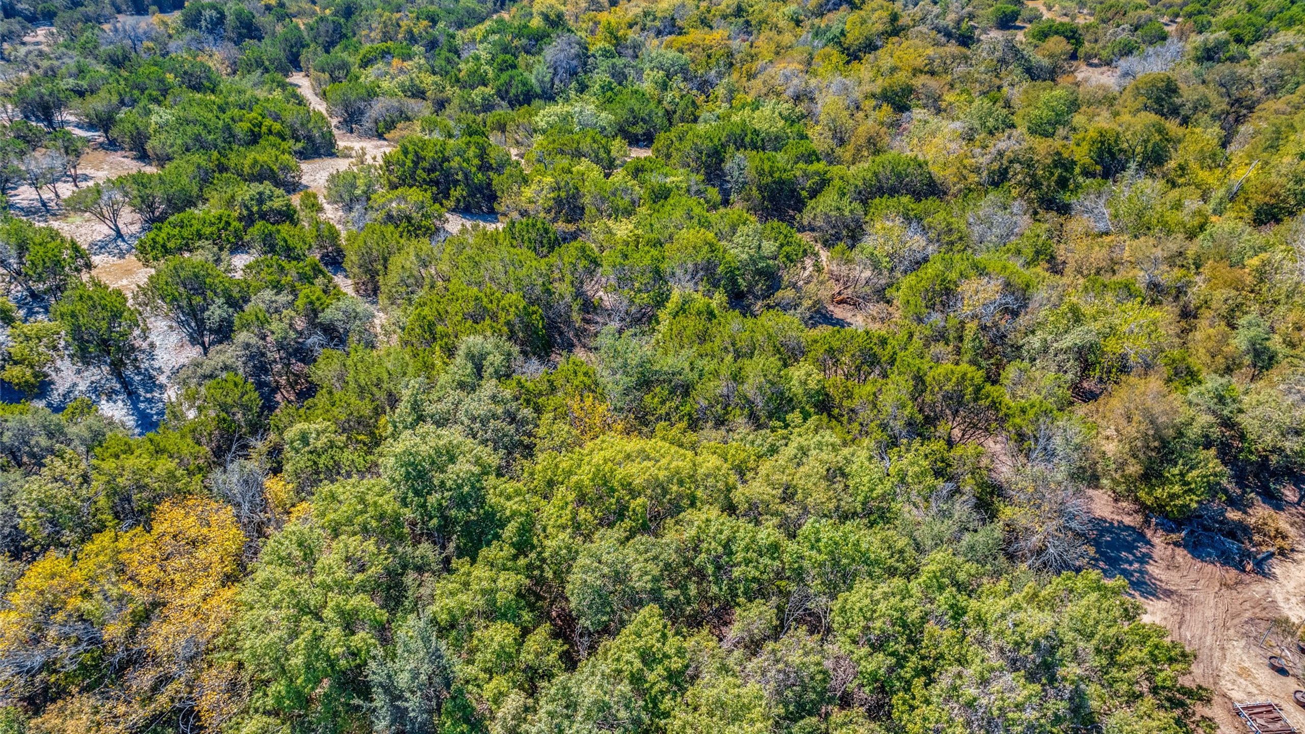 Springtown