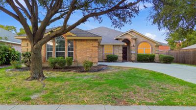 Collin County, TX