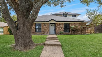 Collin County, TX