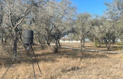 7879 Chestnut Road, Beeville, TX, 78102