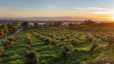 Carpinteria