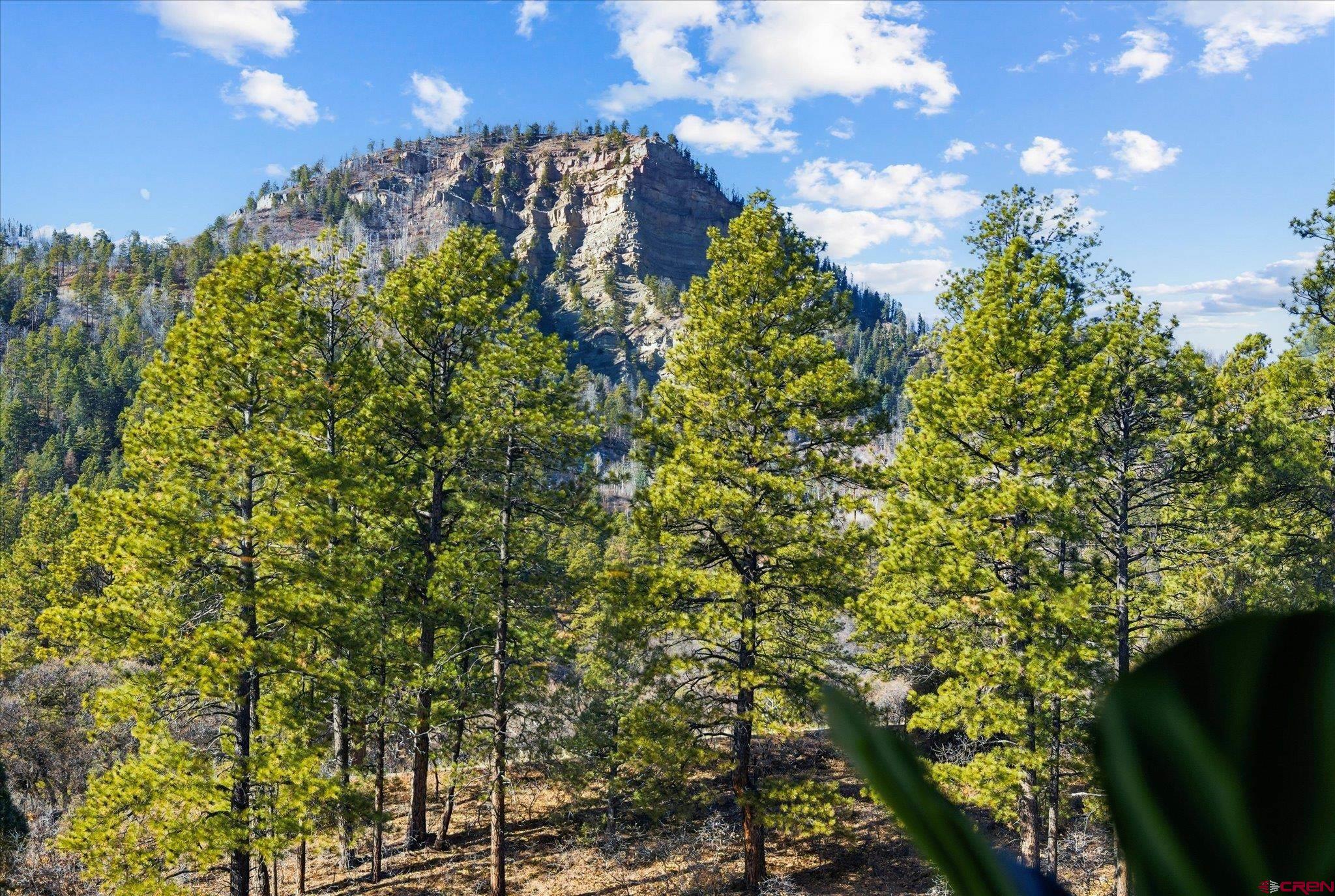 961 N Tamarron Drive UNIT 604, Durango, CO, 81301