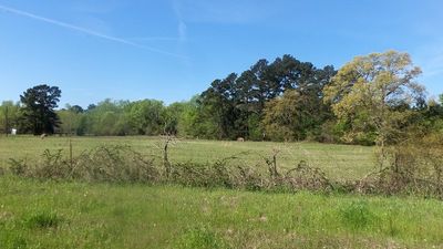 Land for Sale in Rusk County Texas