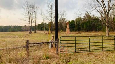 Land for Sale in Rusk County Texas