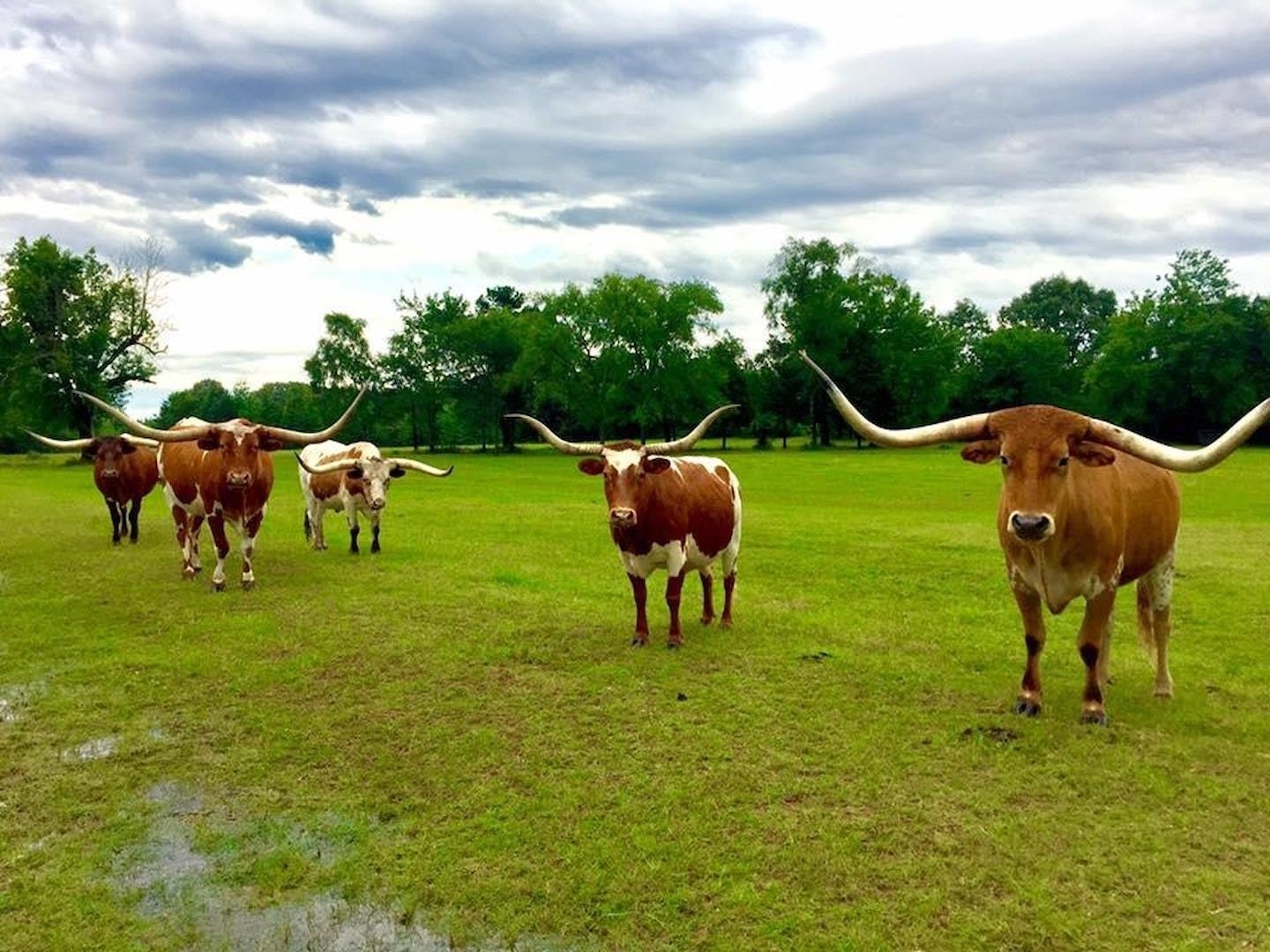 14284 TX 322, Kilgore, TX, 75662