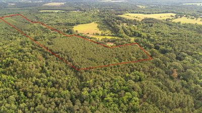 Land for Sale in Rusk County Texas