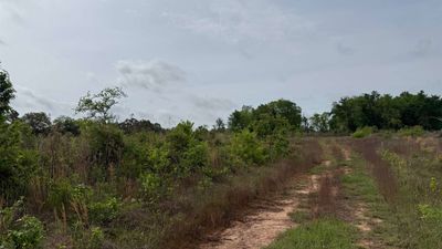 Land for Sale in Rusk County Texas