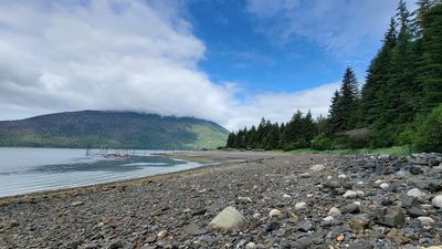 Excursion inlet