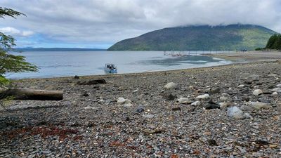 Excursion inlet
