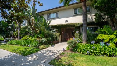 Hollywood Hills