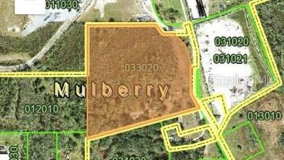 MULBERRY